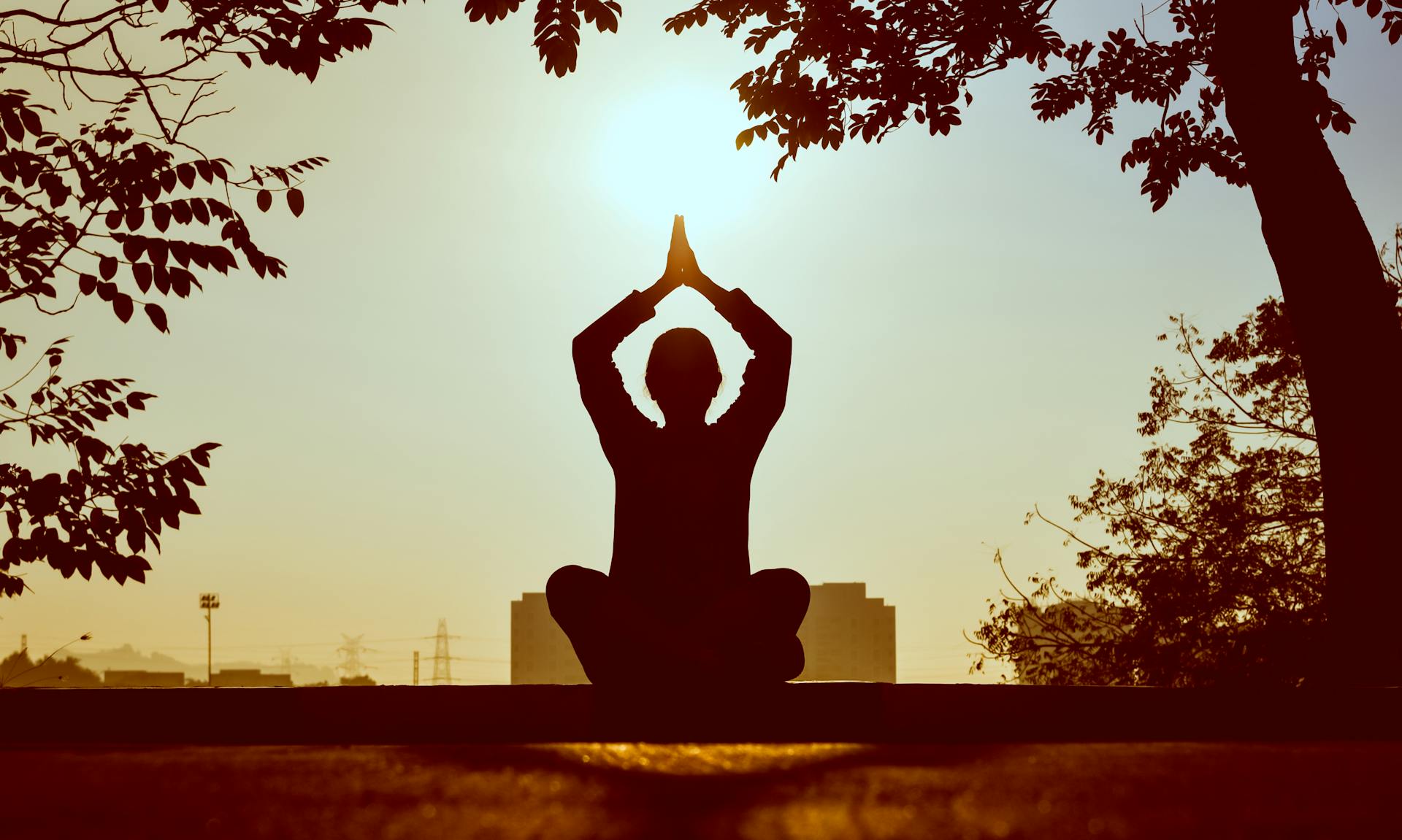 Mindfulness vs Meditation: Key Differences You Should Know